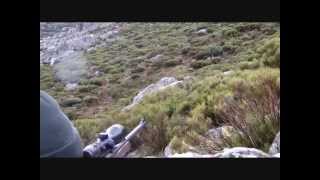 GREDOS SIERRA NEVADA BECEITE IBEX SPANISHIBEX COM [upl. by Shiller]