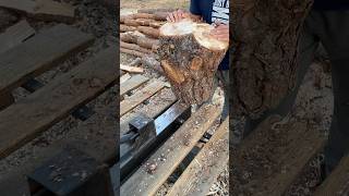 😱 Amazing wood splitting machine Extreme splitting🪓🪵 firewood logsplitter [upl. by Auberta695]