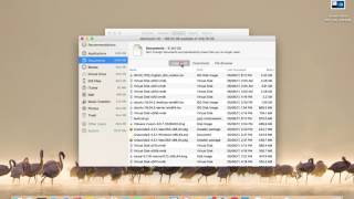 HOW TO CHECK HARD DRIVE SPACE ON macOS MAC OS X [upl. by Nnaxor]