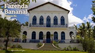 TÚNEL SECRETO achado 100 ANOS depois na FAZENDA HISTÓRICA I FAZENDA BANANAL [upl. by Tabina262]