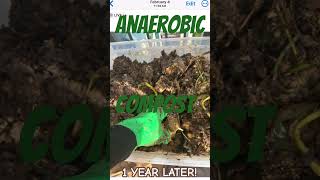 ANAEROBIC COMPOST  ONE YEAR LATER [upl. by Azil]