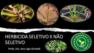 HERBICIDA SELETIVO X NÃO SELETIVO [upl. by Nanon]