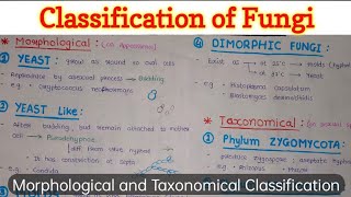 Classification of Fungi  General Microbiology [upl. by Yaluz546]