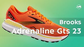 Кроссовки Brooks Adrenaline Gts 23 Обзор [upl. by Riedel]