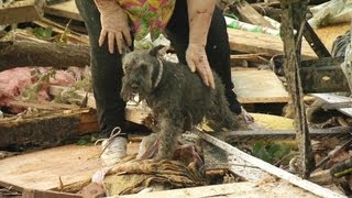 Okla tornado survivor finds dog buried alive under rubble [upl. by Vena]