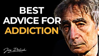 Gabor Maté Pain as the Root of Addiction [upl. by Olyhs]