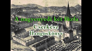 CSERKÉSZ HANGOSKÖNYV ⚜ Jókai Mór A nagyenyedi két fűzfa [upl. by Marget]