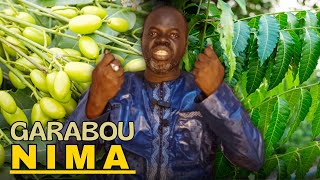 Plante de la Semaine  Ndiariniou GarabouNima  Pr Ousmane Ndiaye [upl. by Ratna]