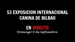 53 Exposición Internacional Canina de Bilbao [upl. by Sashenka]