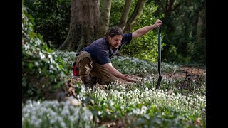 Snowdrops at Goldsborough Hall Head gardener Mark Waller at Goldsborough Hall near Knaresborough [upl. by Inatsed]