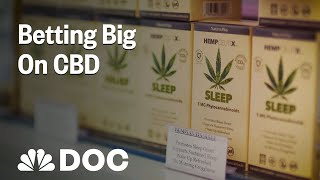 Betting Big On CBD How To Start A Business Few People Understand  NBC News [upl. by Euqinwahs]