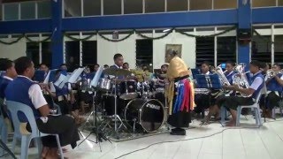 Toloa Brass Band 2015 [upl. by Ahsil]