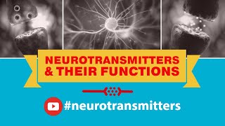 Neurotransmitters And Their Functions Dopamine Glutamate Serotonin Norepinephrine Epinephrine [upl. by Llenral]