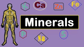 Mineral Nutrition Macro amp Trace  Functions amp Sources  Human body [upl. by Bulley]