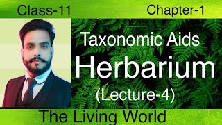 Taxonomic Aids वर्गिकी साधन Herbarium हरबेरियमClass11 and BSc2 The living world class11 [upl. by Anyal]