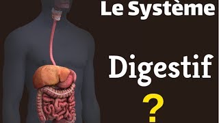 Le Système Digestif [upl. by Cy]