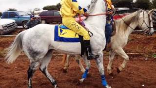 EL CARDENAL OMAR EL ALACRAN VALENZUELA CORRIDOS 2017 quot ESTRENOquot [upl. by Margy115]