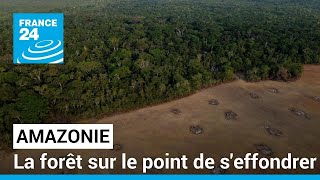 Déforestation en Amazonie elle ralentit mais pas assez • FRANCE 24 [upl. by Aivuy248]