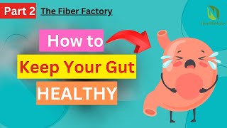 How to Keep Gut Healthy  Part 2 The Fiber Factory [upl. by Kajdan]