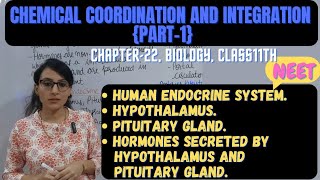 Human Endocrine System  Hormones Secreted by Hypothalamus and Pituitary Gland [upl. by Pasadis]