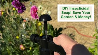 DIY Insecticidal Soap Save Your Garden amp Money with This Easy Recipe [upl. by Ydassac209]