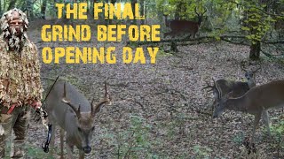 Florida Public Land Deer Hunting  Preseason Recap [upl. by Hardner]