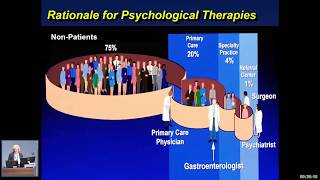 Psychological therapies in functional bowel disorders by Gabriele Moser [upl. by Becca41]