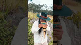 ATIPAK CHRISTIAN  Imbaburapak Anima Pagana  San Juanito Tradicional de Otavalo 🔥 musicaandina [upl. by Roskes]