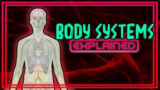 Body Systems Explained [upl. by Wiley49]