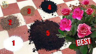 PERFECT POTTING SOIL MIX FORMULA FOR ALL PLANTS [upl. by Yelah345]