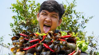 Snail Cooking with Coconut  Snail Recipe Cooking  Snails Food at Countryside [upl. by Eicram]