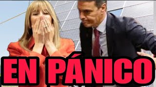 🔥URGENTECOMUNICADO OFICIAL de SÁNCHEZ sobre BEGOÑA GÓMEZ🔥 [upl. by Neened]