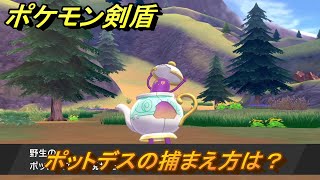 ポケモン剣盾 ポットデスの出現場所は？オススメの場所は？天気は？ポケモン図鑑コンプへの道！ 最新版【ポケモンソード・シールド】 [upl. by Lubba152]