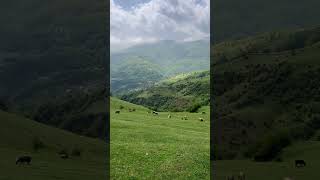 This is the most beautiful foothills of Azerbaijan🇦🇿Where are you watching this video [upl. by Thera]