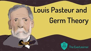 Louis Pasteur and Germ Theory [upl. by Tray481]