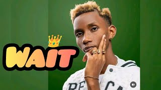 Wait King Kivumbi In Uganda Ft Axon music videos 🇺🇬🇷🇼trending performancefromkingkivumbinrg [upl. by Nirre]