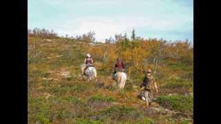 Reinsdyrtrekking i Rondane [upl. by Aicilak]