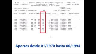 TUTORIAL Cómo interpretar un informe de aportes de ANSES [upl. by Yrrek333]