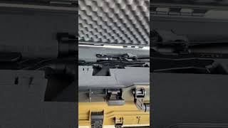 Ruger Precision Rimfire Rifle  22LR  Vortex Eagle 416x42 [upl. by Razal]