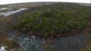 Everglades Mountains and Valleys Tropical Hardwood Hammock [upl. by Larimore212]