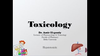 Hepatotoxicity [upl. by Annaujat]