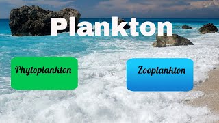 Difference between Zooplankton and Phytoplankton [upl. by Aztilay]