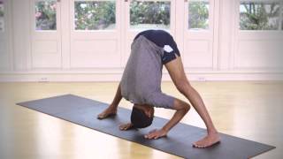 Wide Legged Forward Bend A Prasarita Padottanasana A [upl. by Strader]