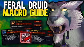 Rank 1 Feral Druid Macro Guide  WoW Arena [upl. by Orelee]