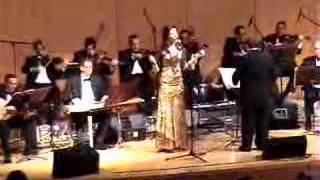 Om Kalthoum Orchestra  NYC [upl. by Barcot]