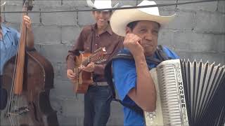 Los Gavilancitos de Nuevo León  Polka El Tololoche Con Juan Torres [upl. by Cecile]