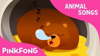 Hibernation Song  Animal Songs  PINKFONG Songs for Children [upl. by Yaner]