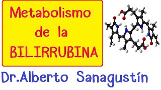 METABOLISMO DE LA BILIRRUBINA Fisiología [upl. by Theressa]