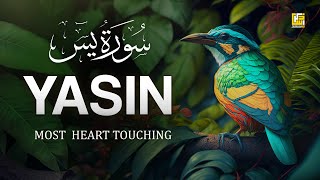 Worlds most beautiful Quran recitation of Surah Yasin Yaseen سورة يس  Zikrullah TV [upl. by Moya472]