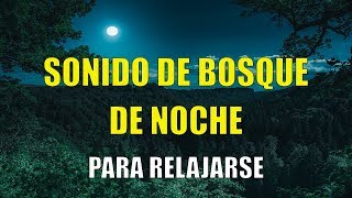 1 HORA SONIDOS del BOSQUE NOCTURNO CORTOS para DORMIR o RELAJARSE 😴🦉🌕 [upl. by Matthia]